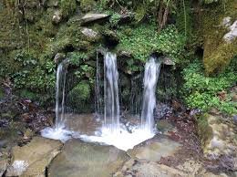 images (5)