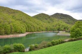 images (7)