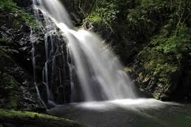 images (8)